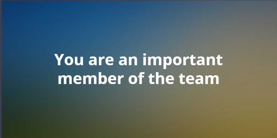 You are an important member of the team
